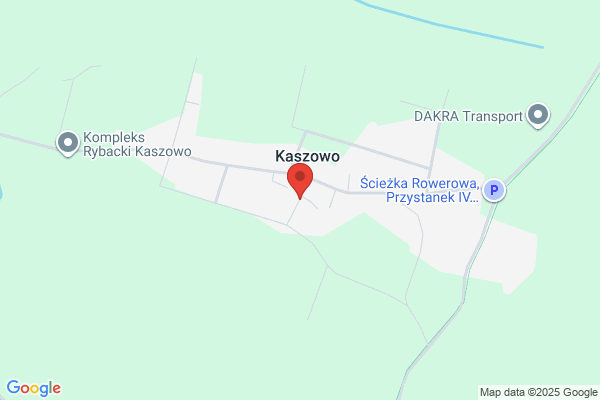 Irwex. Transport specjalistyczny, przewóz drewna. Michalak I.