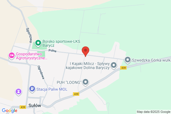 Lodyga Henryk. Zaklad blacharsko - dekarski
