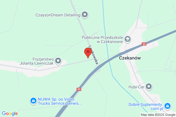 Malanczak Jolanta. Dyskoteka