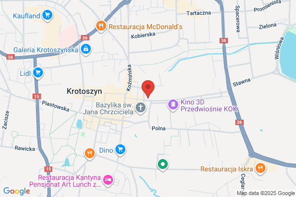 Feniks. Przedstawiciel agencji Kaja TU Allianz