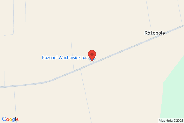 Rózopol-Wachowiak SC. Przedsiebiorstwo motoryzacyjne