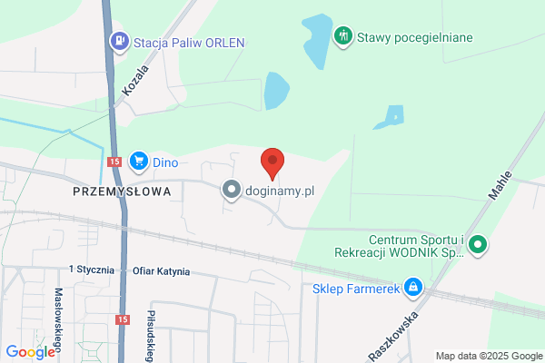 Kazmierczak Rafal. Uslugi remontowo - budowlane i transportowe