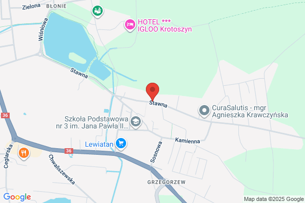Golebie. Glowiszyn J.