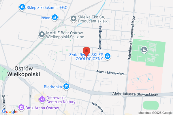 Majerowicz J.H. Zaklad przetwórstwa miesnego. Sklep miesny