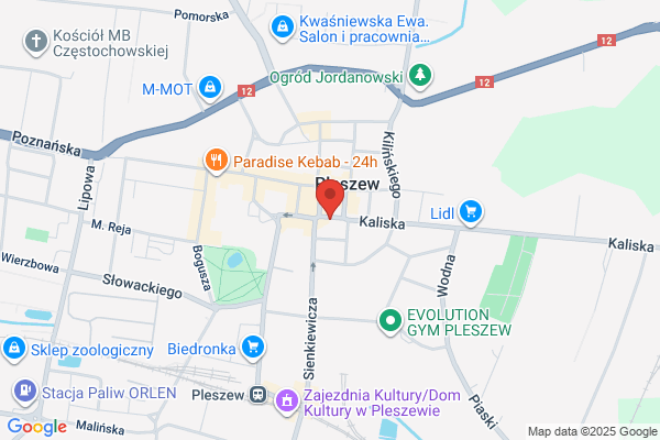 Fikus. FH. Czerwinska P.
