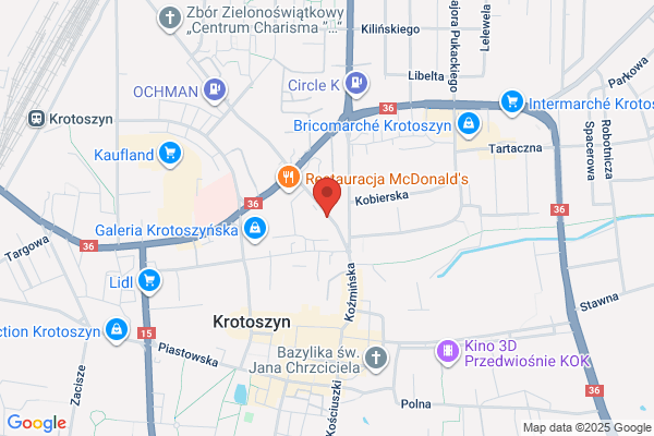 Diagnostyka bezpieczenstwa jazdy i silnika