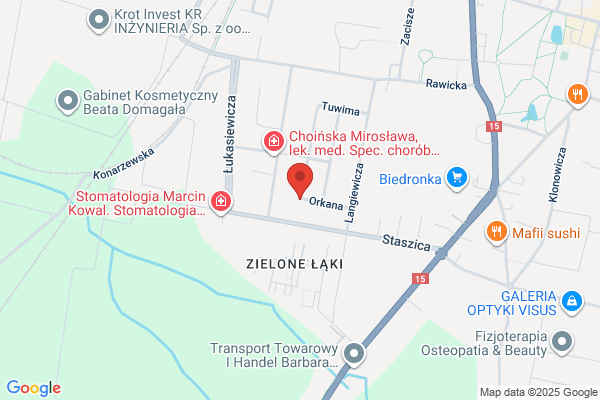 Ledom. Czyszczenie dywanów i tapicerki samochodowej