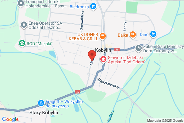 Mlodziuski Andrzej. Przewozy autokarowe