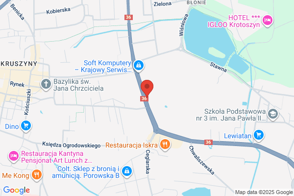 Plewa Pawel. Mycie samochodów i czyszczenie tapicerki