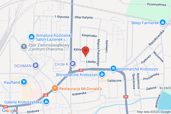Augustyniak Slawomir. Serwis samochodowy Bosh