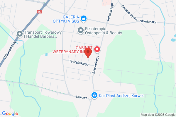 Kostaka Aneta. Kwiaty, znicze