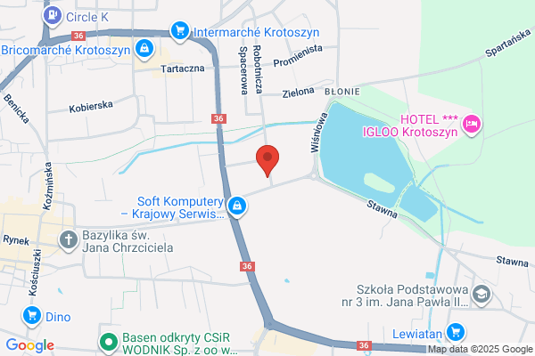 Jarzembski Stefan. Uslugi transportowe