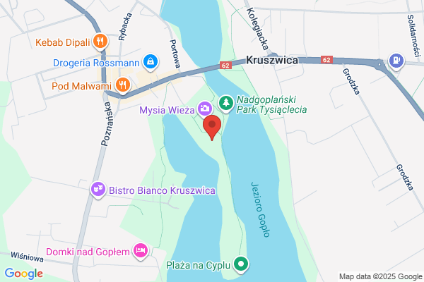 Goplo. Klub wioslarski
