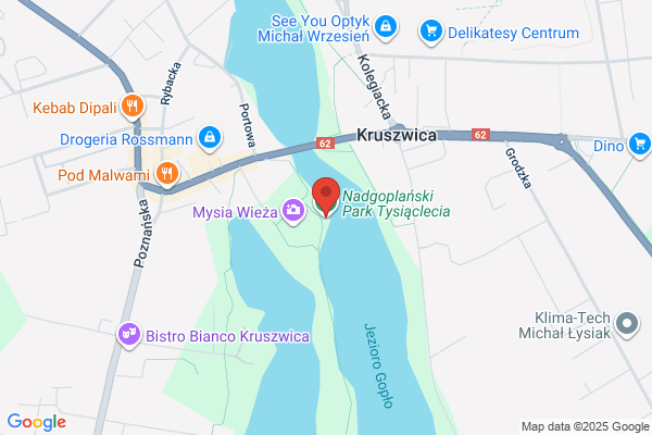 Nadgoplanski Park Tysiaclecia