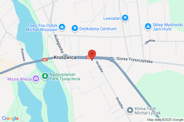 Polski Koncern Naftowy Orlen SA. Stacja paliw