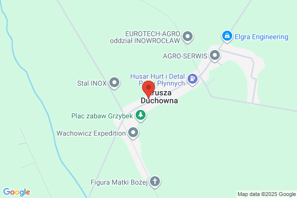 Starzyk Dawid. Logistyka