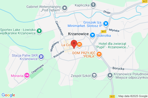 Bank Spóldzielczy w Raciborzu. Oddzial