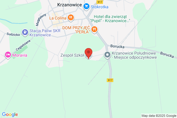 Gimnazjum Zespolu Szkól