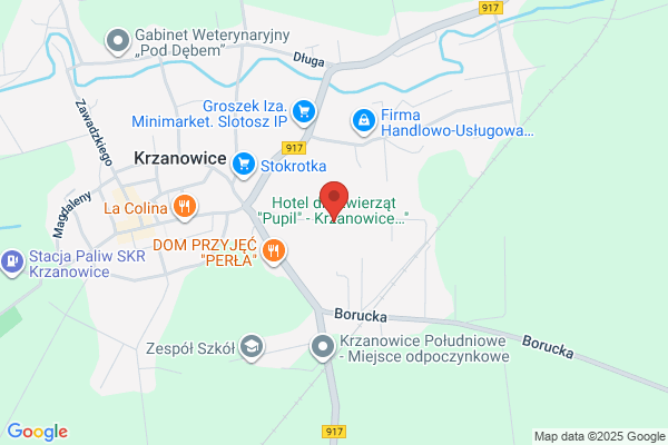 Perek Nina. Tresura psów