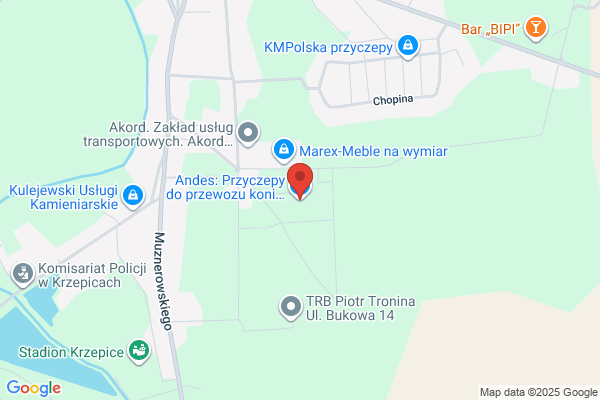 Anmar. Eksport, import. Produkcja wózków dzieciecych. Kedziora A.M.