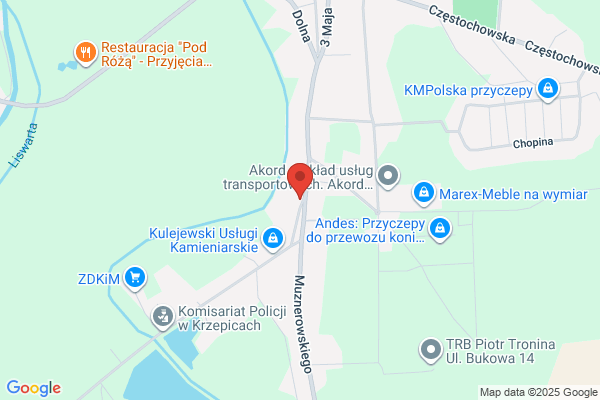Elektrotechnika. Sp. z o.o. Krajowy i miedzynarodowy przewóz osób