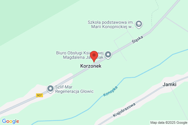 Korzonek Stanislaw, mgr psycholog. Biegly sadowy