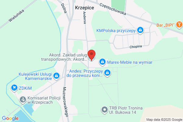 Koziara Andrzej. Uslugi transportowe