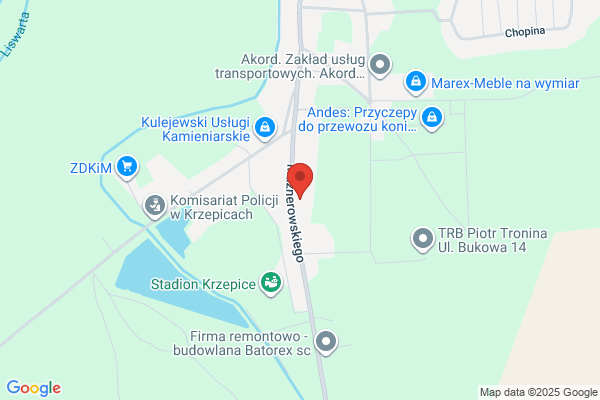 Paluchowska E. Protezy dentystyczne