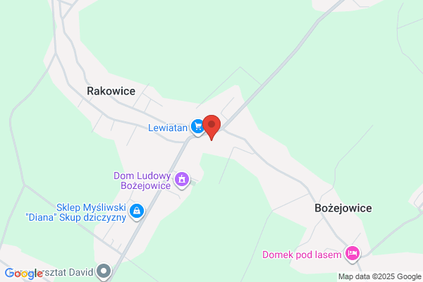 Andrzejewski Kazimierz. Uslugi murarskie