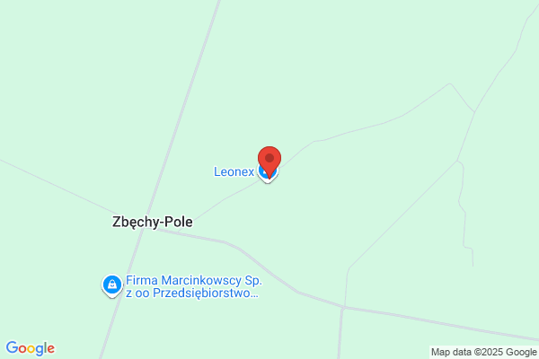Leonex. Skóry licowane, tapicerka skórzana samochodowa