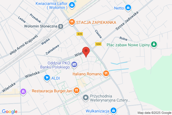 Lester Iwona. Masaz leczniczy