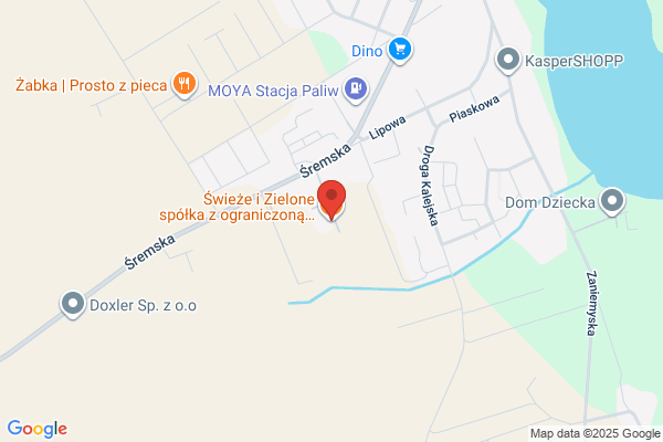 Sekma. Frackowiak M.