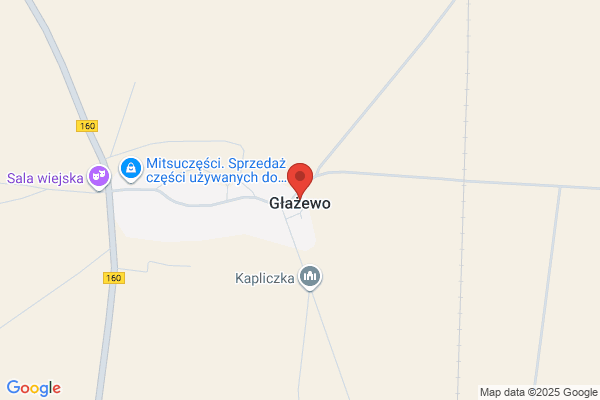 Tomkowiak Henryk. Sklep masarniczy