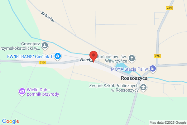 Borkowski Janusz. Uslugi lesne