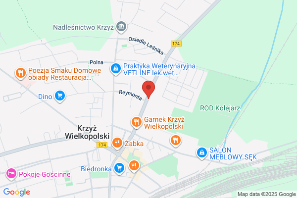 Zgromadzenie zakonne Salwatorianów