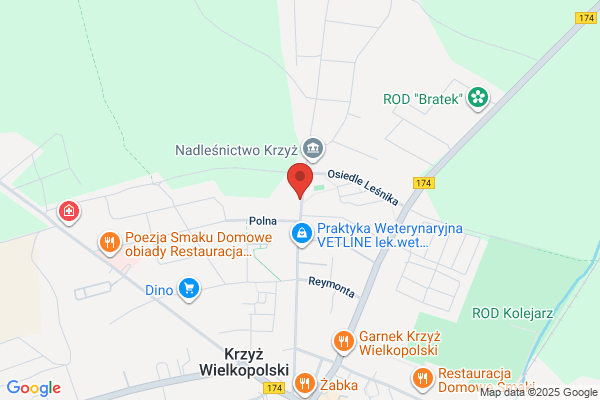 Górczynska Maria. Sklep wielobranzowy