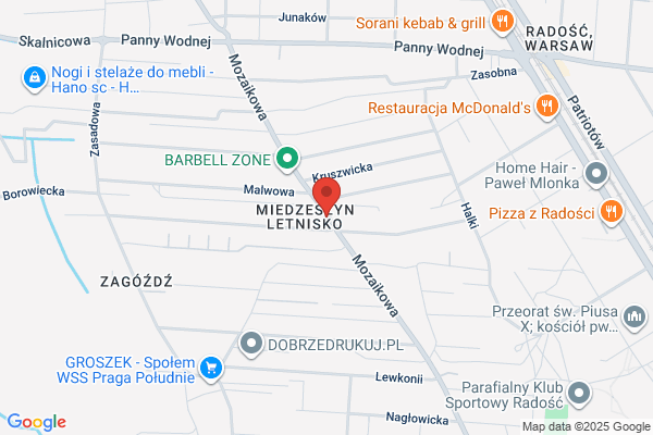 Prymulka. Rze