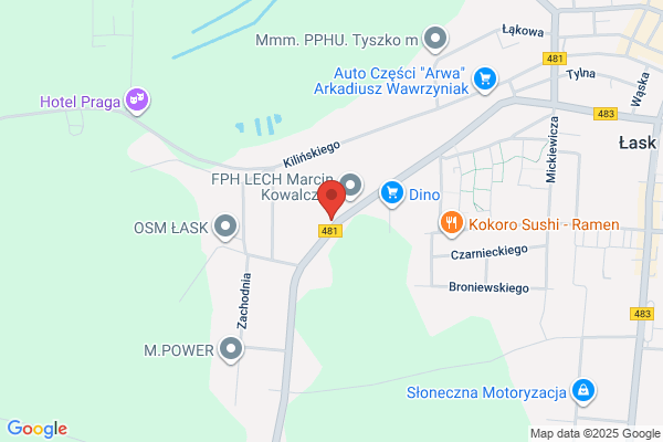Albert Zofia i Leopold. Szkólka krzewów i drzew ozdobnych