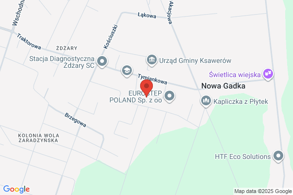 Cezar International. S.j. Wojciechowski