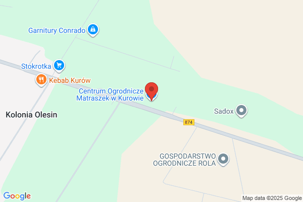 Matraszek Ewa. Gospodarstwo szkólkarskie. Drzewka i krzewy ozdobne