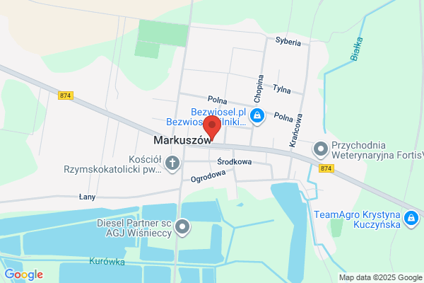 Groszek. jaszczewski J.