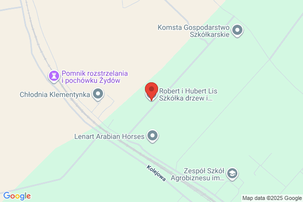 Lis Robert. Szkólka drzew i krzewów ozdobnych