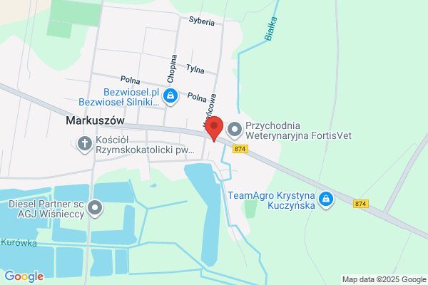 Struzek Wlodzimierz. Serwis, wymiana amortyzatorów