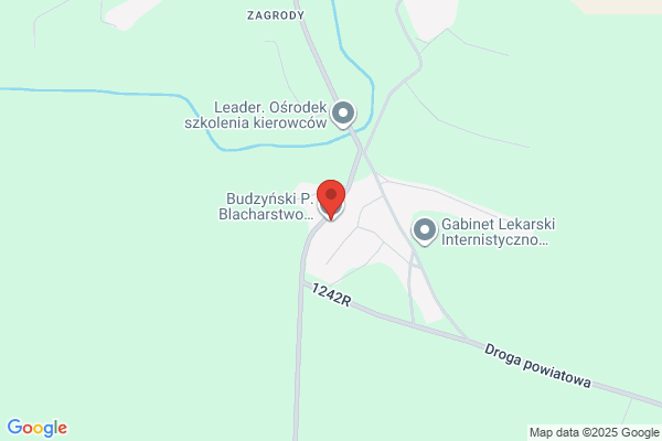 Budzynski P. Blacharstwo, lakiernictwo, mechanika samochodowa