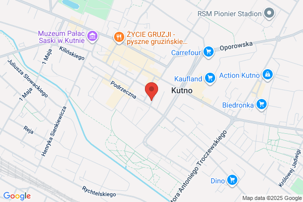 Frezja. Kwiaciarnia. Józwiak K.