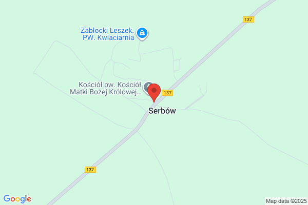 Róza. Kwiaciarnia. Lach Z.