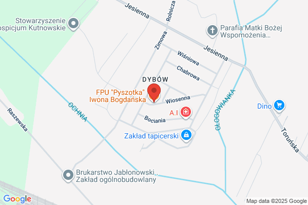 Dyzio SC. FH. Gajdecki A., Bielecka M.
