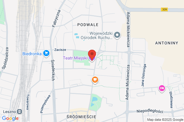 Leszczynskie Stowarzyszenie Twórców Kultury