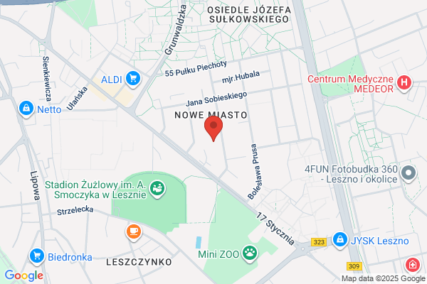 Ardisia. Centrum ogrodnicze i art. dekoracyjne