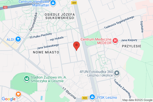 Hanseb. Osuszanie budynków. Wasilewski S.